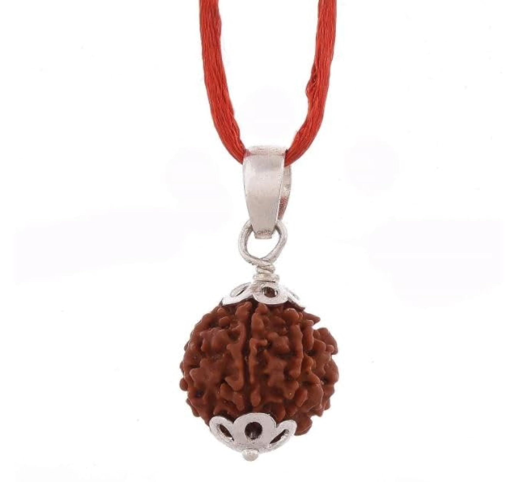 Nepali 6 Mukhi Rudraksha Bead, Certified Original for Auspiciousness