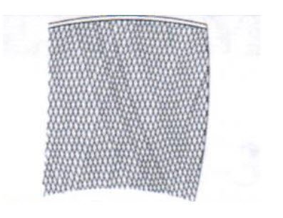 Sportspower Trampoline Enclosure Mesh Net ONLY for YSLJZOG1022 - OEM Equipment