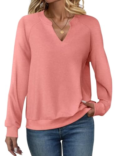 EADINVE Women Casual Long Sleeve V Neck Sweatshirts Cute Loose Fit Lightweight Pullover Tops