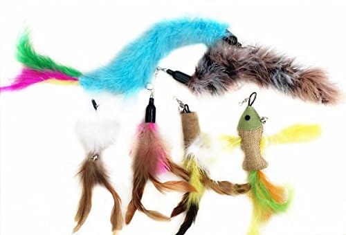 The Giddy Kitty 6 Piece Refill Pack - Our Most Popular Replacement Cat Feather Toys - Fun Teaser Feathers for Exercising Kitten or Cats