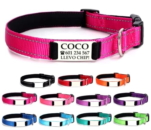 Ibera gifts - Collar Perro Personalizado con Nombre para Mascotas Grandes, Reflectante, Ajustable De 40 a 60 cm, Grabado Láser, Seguro y Cómodo (Fucsia, L Grande)