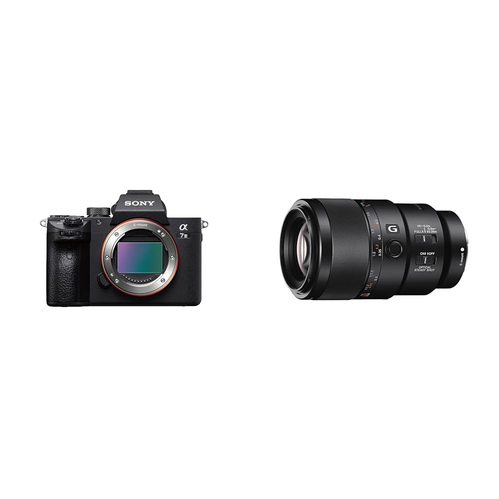 Sony Alpha Ilce 7m3 Full Frame 24 2mp Mirrorless Digital - Main Image
