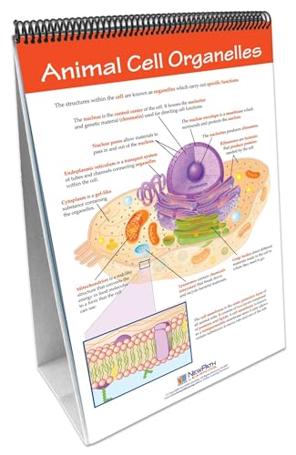 Image of Newpath All About Cells Flip Chart and Online Multimedia Lesson, Grades 6 through 10