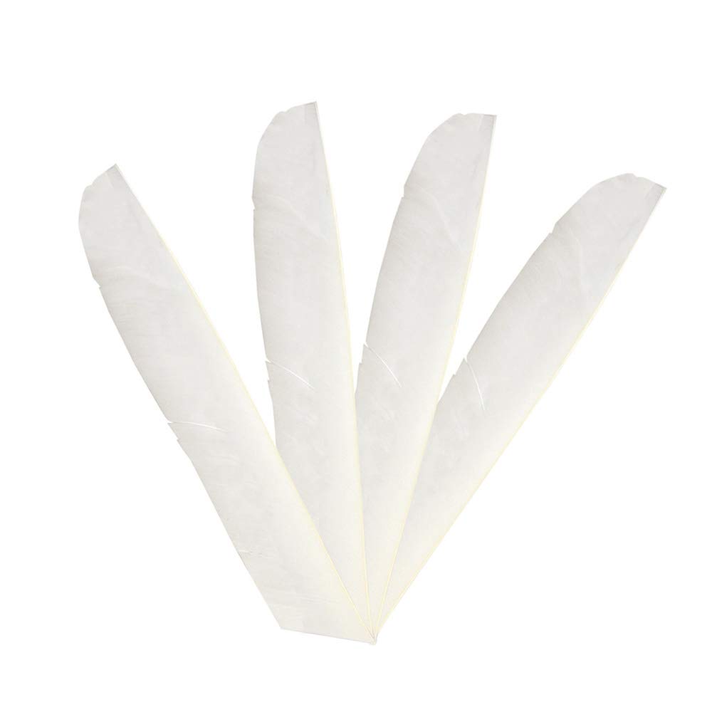 SHARROW 50pcs Chasse Plume de Flèche Naturelle Pleine Longueur Spirale Enveloppé Fletches Fletching Flèche Plume de Dinde