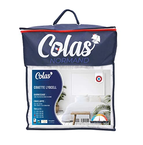 Piumino 240 x 220 cm antitraspirante Lyocell proprietà assorbenti Temperato Per tutte le stagioni Produzione francese Lavabile in lavatrice a 40 °C