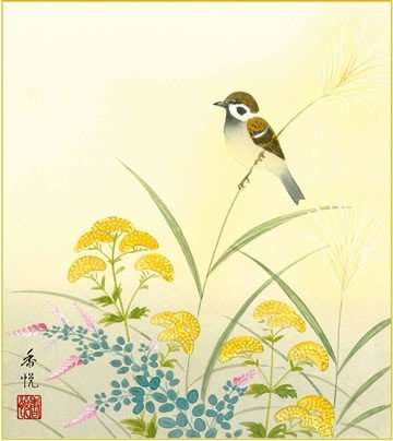 Amazon.co.jp: 四季絵色紙4枚セット-花鳥四趣（新絹本）SIK-001