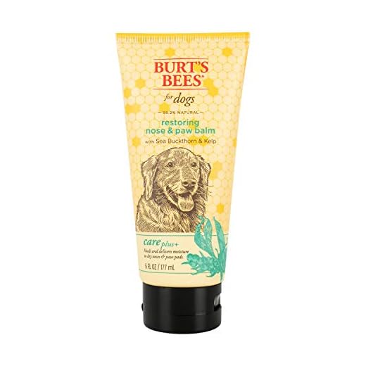 Burt's Bees for Dogs Care Plus+ Natural Sea Buckthorn & Kelp Restoring Nose & Paw Lotion | Heals & Moisturizes Dog Noses and Paws | pH Balanced for Dogs - Made in USA, 6 Oz Bottle of Lotion