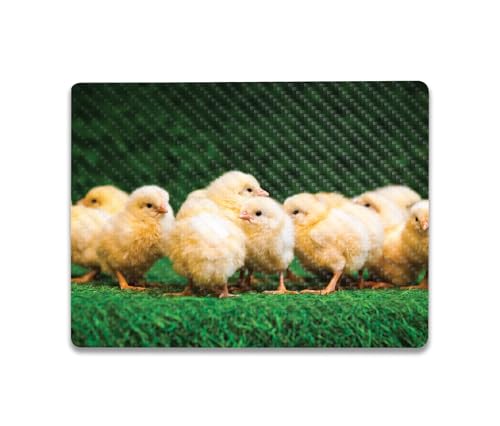 Image of MightySkins Carbon Fiber Skin Compatible with Microsoft Surface Laptop Go 3 (2023) Full Wrap Kit - Group of Chicks | Protective, Durable Textured Carbon Fiber Finish | Easy to Apply | Made in The USA