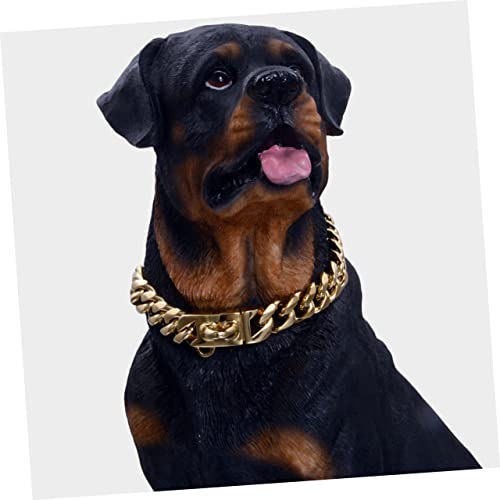 Collier en acier inoxydable or pour chien idéal pour la promenade - 7