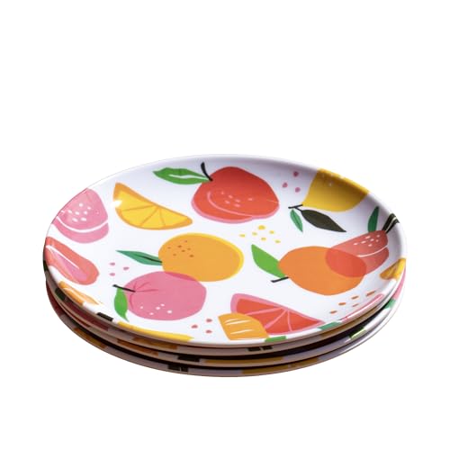 Darthome Set of 4 Summer Fruits Outdoor Plates 20x20cm Melamine BBQ Camping Picnic Garden Serving
