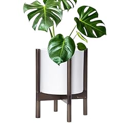 Matte White Pot + Walnut Color Stand