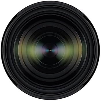 Amazon.com : Tamron 28-200mm f/2.8-5.6 Di III RXD for Sony E