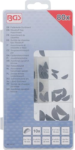 BGS 8117 | Federkeile-Sortiment | 80-tlg.