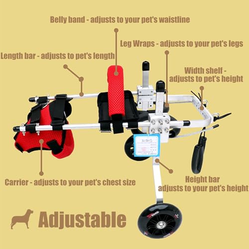 Silla de ruedas para perros y gatos con parálisis: solución a la inmovilidad 6