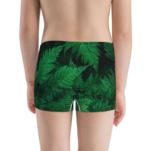 Boys' Cotton Boxer Brief Soft Underwear-Green Leave Fern3