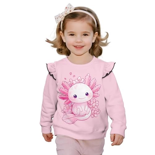 Cute Sweatshirts Toddler Crewneck Sweatshirt Girls Long Sleeve Shirts Crewneck Blouse for Outdoor