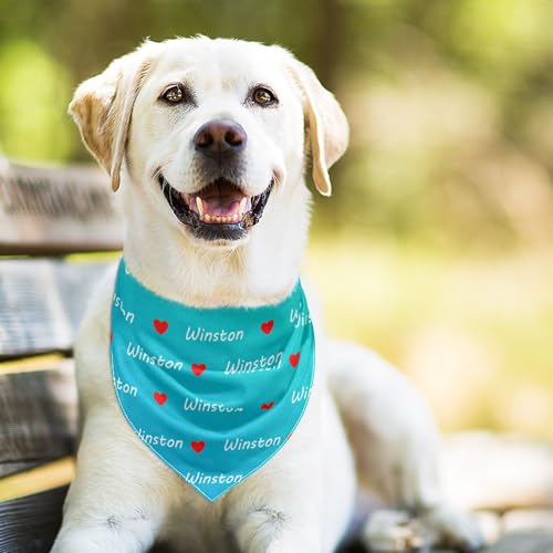 Custom Pet Triangle with Name Personalized Dog Bandanas Pet Neckwear for Dogs Gifts for Cat Dog Owners Lovers(Hearth Name Small:7.3 * 20.2 inches)