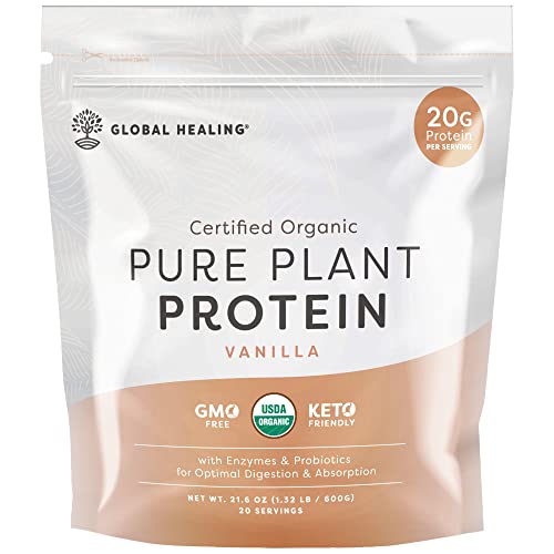 List of Ten Best Plant Protein Powder [Experts 2023 Reviews]