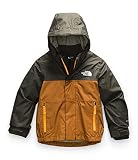 THE NORTH FACE Toddler Snowquest Triclimate®, New Taupe Green, 2T