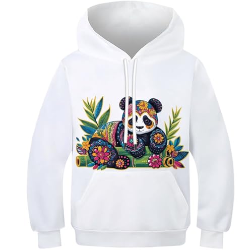 Pull à manches longues pour garçons et filles panda 11-13Y