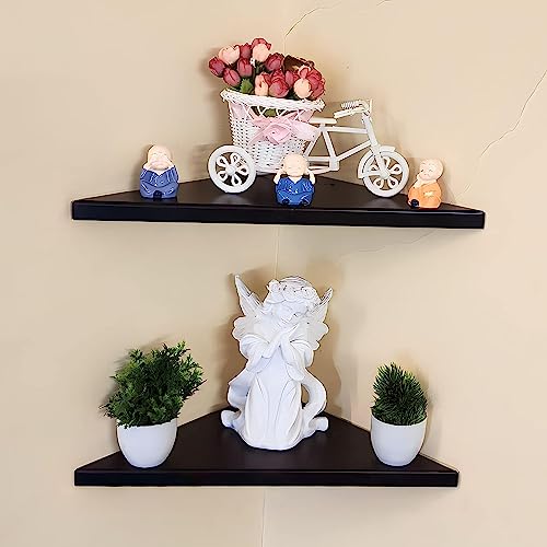Image of OrganizeMee Black Corner Shelves (Set of 2) | Wall Mounted Display for Living Room, Bedroom, More (Trophy, TV, Plants)