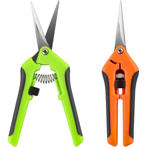 FENQURO 2 Pièces Sécateur Jardin Ciseaux de Taille, Poignée de Blocage, Ciseaux de Jardin avec lames courbes Revêtues de Titane pour Bonsai Fleurs Roses Plantes Fruits Bouquet