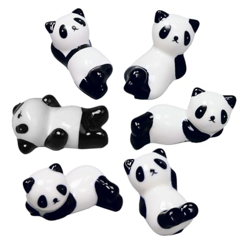 AMUSLESUR 6 Z~bNp_fUCuX^h Hp Xv[ tH[NbN jp[eB[ɂȂ킢ax