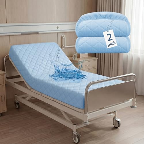 Lounsweer 2 Pcs Bed Mattress Protector Waterproof, 80 x 36 x 12in, Blue