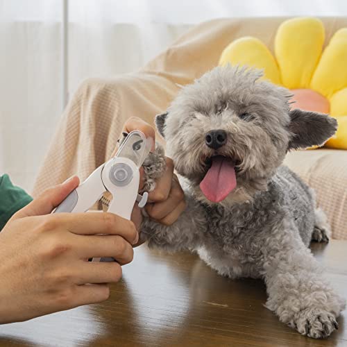 Aiitle Dog & Cat Pets Nail Clippers And Trimmers - With Two Super Bright Led Lights, Razor Sharp Blade, Free Nail File, Transprent Nail Trapper - For Safe, Professional At Home Grooming, White #TOP6
