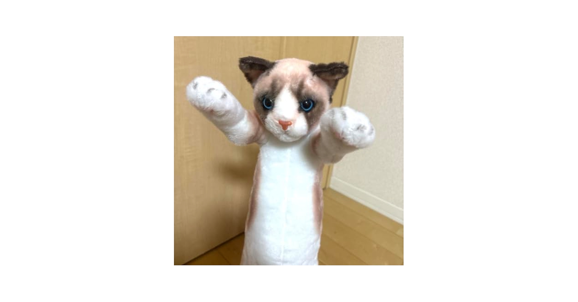 Amazon.co.jp: たっちぃZooにゃんこ 自立するぬいぐるみ : おもちゃ