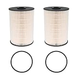 Carnovate 2PCS Fuel Filter & Rubber Seal Ring # PU936/1X PF9861 1K0127177B