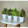 Litleo-Plastic-Artificial-Plants-Mini-Eucalyptus-Potted-Faux-Decorative-Grass-Plant-For-Home-Decor-Indoor-Office-Desk-Shelf-Table-Decoration-Pack-Of-4-Green