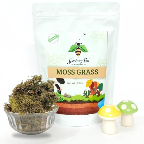Gardening Bee Sphagnum Moss for Orchids (1 KG), Sphagnum Moss Grass for Orchid Plant Garden, Home, 100% Impurities & Dust Free, Pots, Air Layering Nice Green Appearance, Preserved for Pot (1 Kilogram)