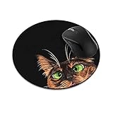 schildpatt katze rasse Dekorieren Sie Ihr Zuhause oder Büro mit einem personalisierten Mauspad.
