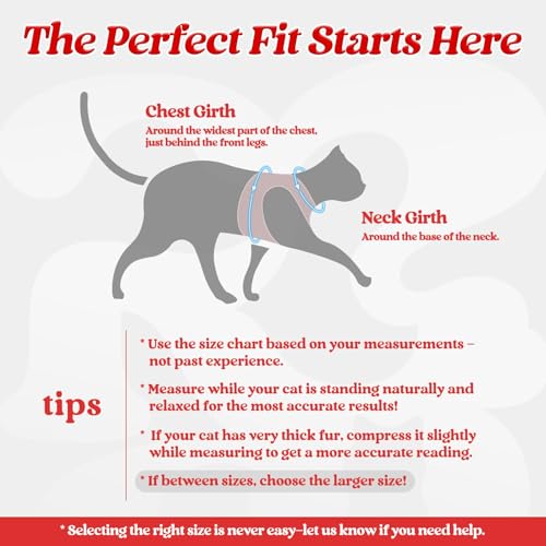 Image of rabbitgoo Cat Harness and Leash Set, Step-in Soft Vest, Red | Escape Proof, Lightweight, Easy-on & Adjustable, Hook & Loop with Buckle, Reflective, for Small Cats Walks, L