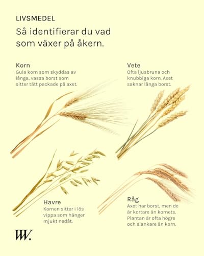 &Auml;mnen att ha koll p&aring; i augusti.