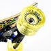 Sector 9 Striker Depths Complete Longboard Skateboard - Factory Direct
