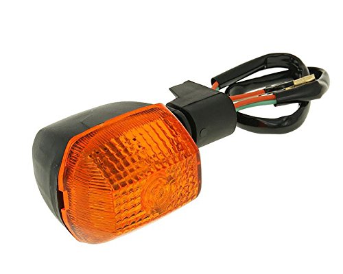 Intermittente Anteriore Sinistro