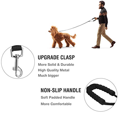 Trainingsleine für Hunde, 5 m, 10 m, 20 m, 30 m, lange Hundeleine, freihändige Hundeleine für kleine, mittelgroße und große Hunde (30 m)