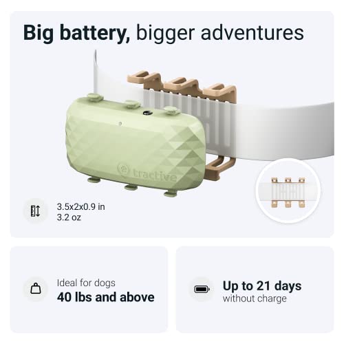 Tractive Xl Gps Tracker For Large Dogs - Waterproof, Gps Location & Smart Pet Activity Tracker, Unlimited Range, Works With Any Collar (Green) #TOP4