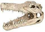 Meerwasserresistent Trixie 8712 Krokodil-Schädel, 14 cm
