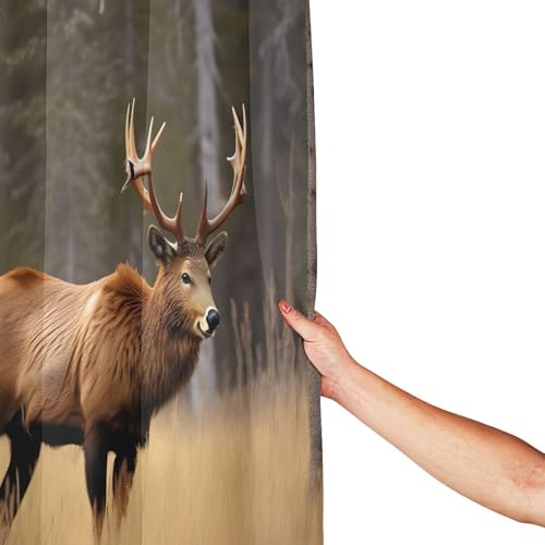 Rideau de douche anti éclaboussures 183x183 cm en polyester imprimé - 5