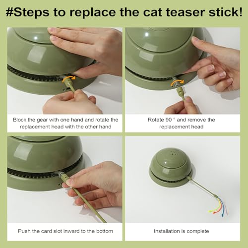 Jeu mobile pour chat avec design couvrant exercice et distraction