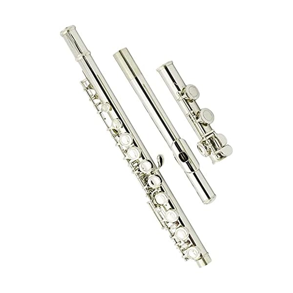 Aisiweier C Flutes Closed Hole C Flute Musical Instrument with Joint