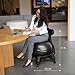 Pharmedoc Exercise Ball Chair with Back Support for Home and Office w/Exercise Yoga Balance Ball, Pump, Removable Back & Lockable Wheels