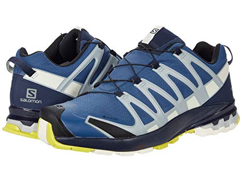 Salomon Herren XA PRO 3D V8 GTX, Leichte Schuhe für Trail Running und Wandern, Wasserdicht, Blau (Dark Denim/Navy Blazer/Vanilla Ice), 40 EU