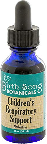 Birth Song Botanicals Children's Respiratory Support Tincture with Elderberry, Herbal Immune Support Supplement with Sambucus Nigra, Maximum Strength Liquid Drops for Respiratory & Immune Support,1oz
