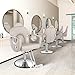 Tythical Reclining Salon Chair, Hydraulic Barber Styling Chair for Hair Stylist, 360 ° Swivel Hair Braiding Hairdresser Chairs, Height Adjustable Spa Beauty Equipment for Barbershop, Grey Silver
