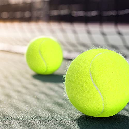 Ikasus Palline da Tennis,6 Palline da Tennis per