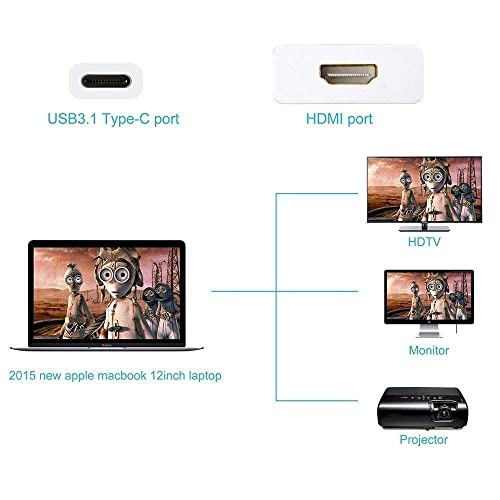 Image of BLACK CROWN (USB C to HDM USB C to HDMI Adapter, Deluxe USB 3.1 Type C to 4K Thunderbolt Supported HDMI Adapter. (Compatible with Devices with Display Alternate Mode) (Grey)